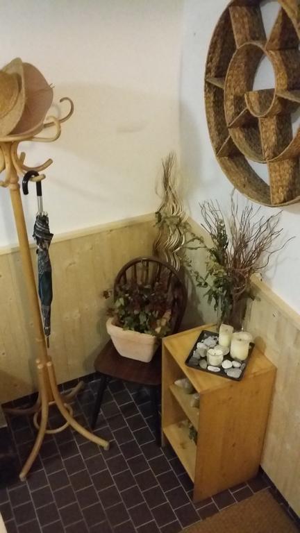 הייניצה Apartment Rychtrovna מראה חיצוני תמונה