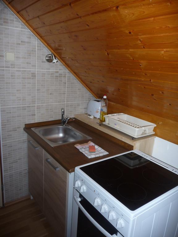 הייניצה Apartment Rychtrovna מראה חיצוני תמונה