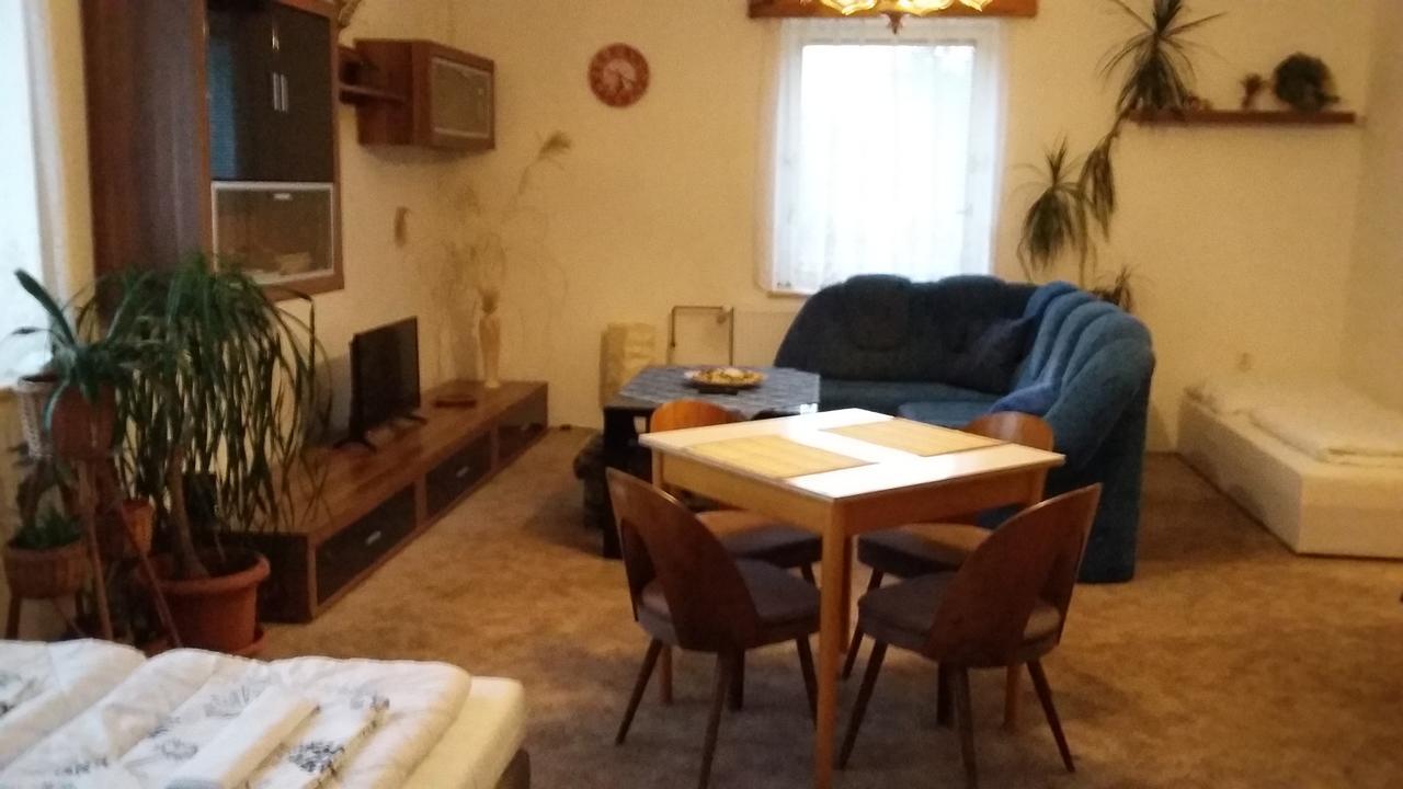 הייניצה Apartment Rychtrovna מראה חיצוני תמונה