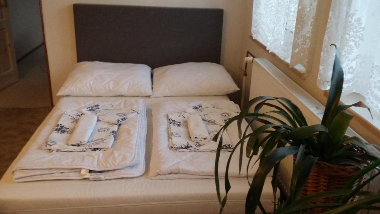 הייניצה Apartment Rychtrovna מראה חיצוני תמונה